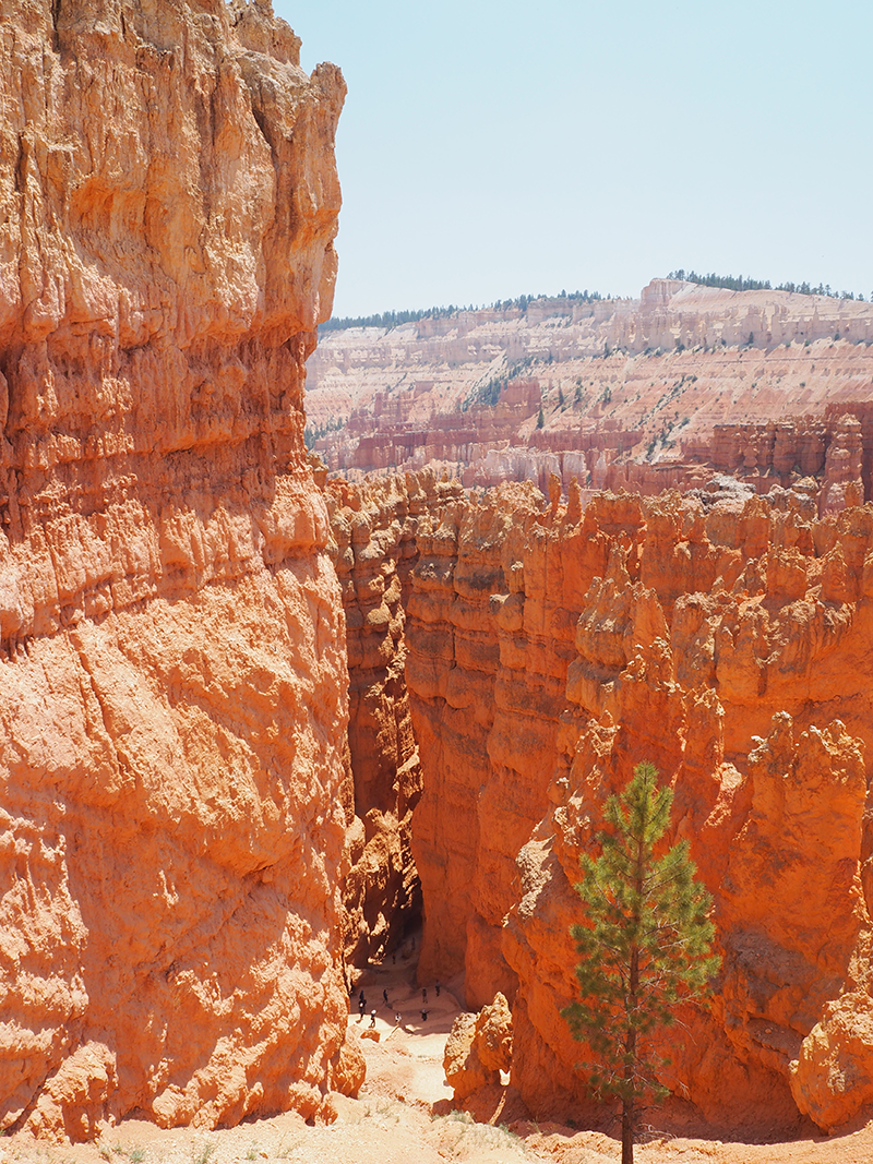 Walking into the Hoodoos
