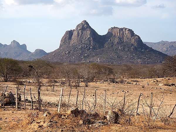 Landscape on the way to Parnaíba