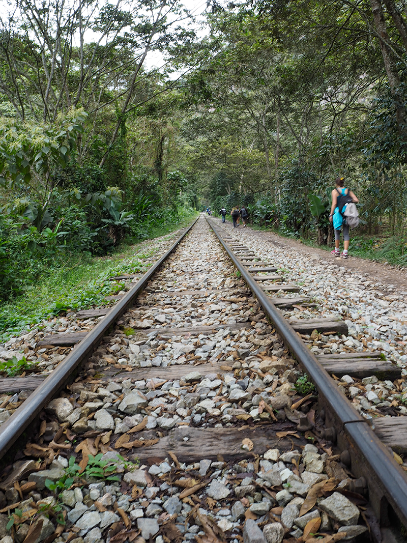 Hiking to Machu Picchu