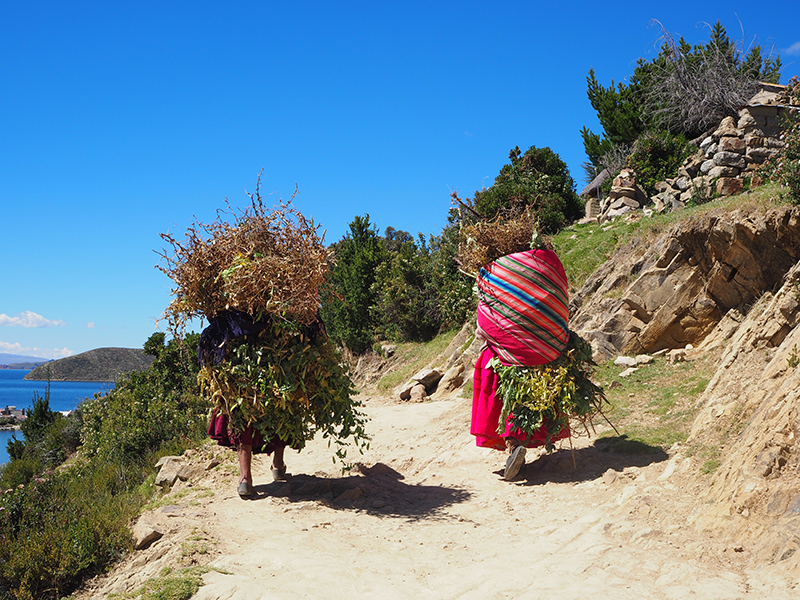 Isla del Sol/Titicaca, Bolivia