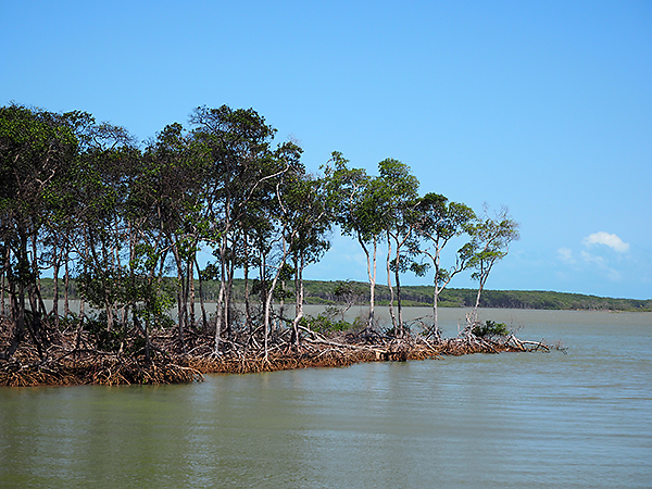 Parnaíba Delta