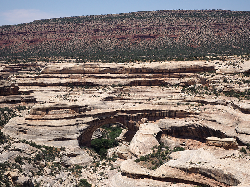 Natural Bridges National Monument