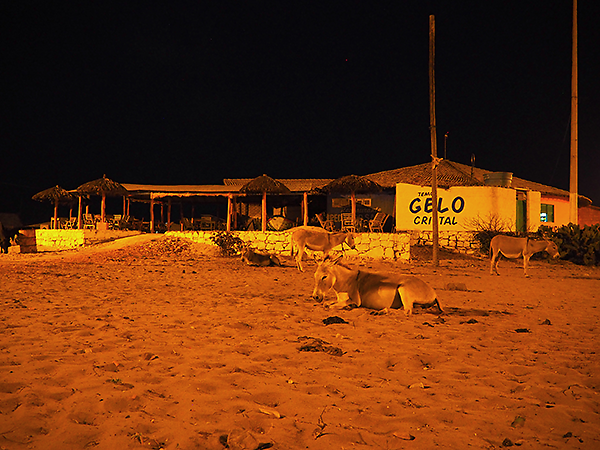 Praia Pedra do Sal, Parnaíba