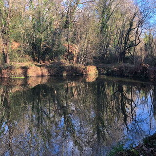 chateau-domaine-mazure-nantes-parc-(2).jpg