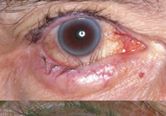 Captura de Tela 2020-12-14 às 16.38.32.png