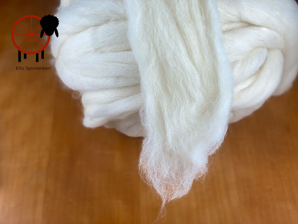 Miniaturbild: Eiderwolle - Kammzug