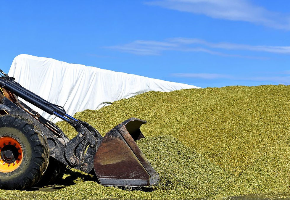 silage plastic.jpg