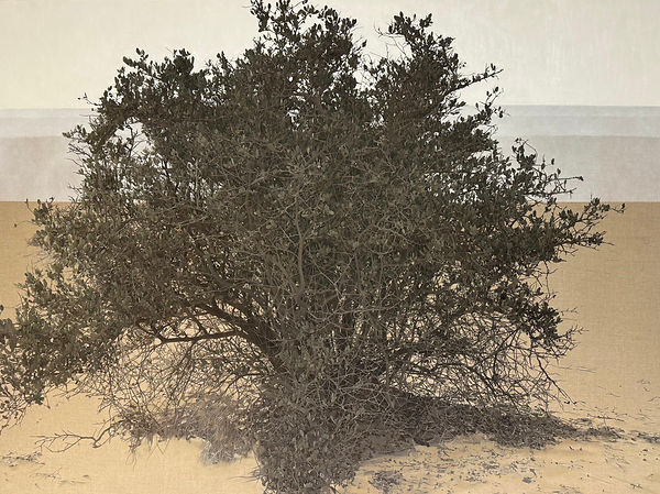 The Olive Tree 2, Ibrahim El Dessouki (2025) -  © Boulos Isaacjpg.jpg