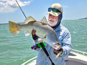 Alex's Column 2 October 2025