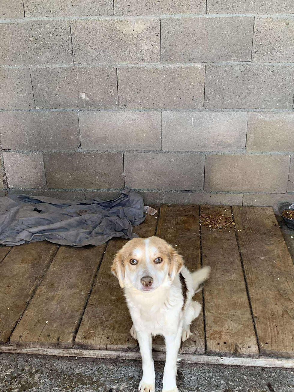 Thumbnail: Freya