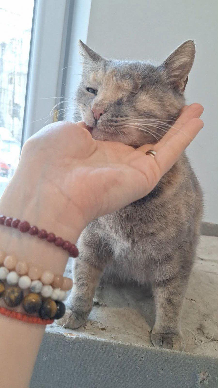 Thumbnail: Valentina