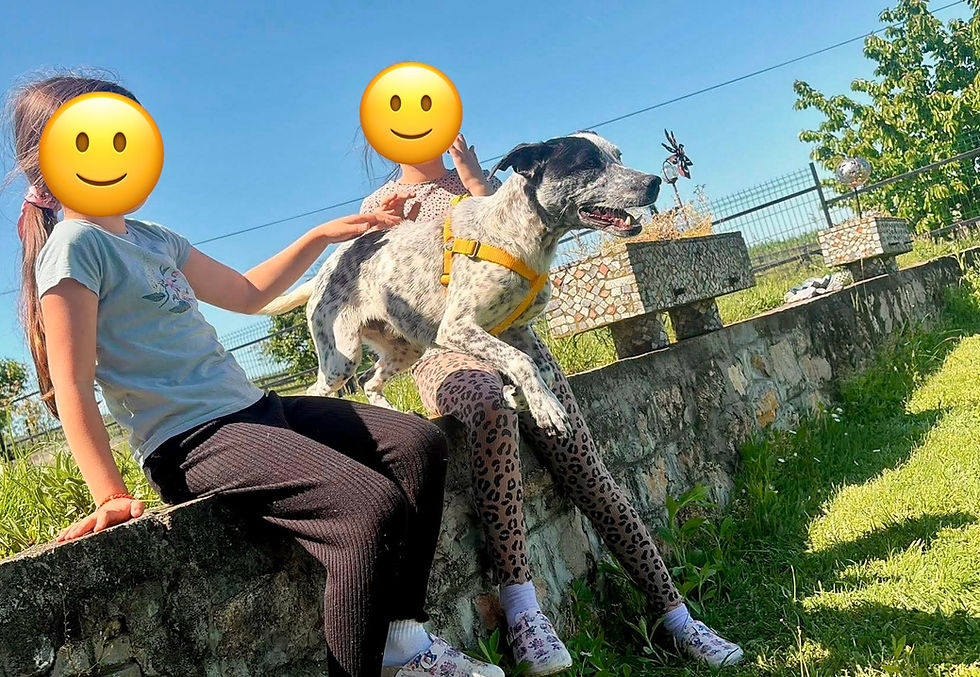 Thumbnail: Peki