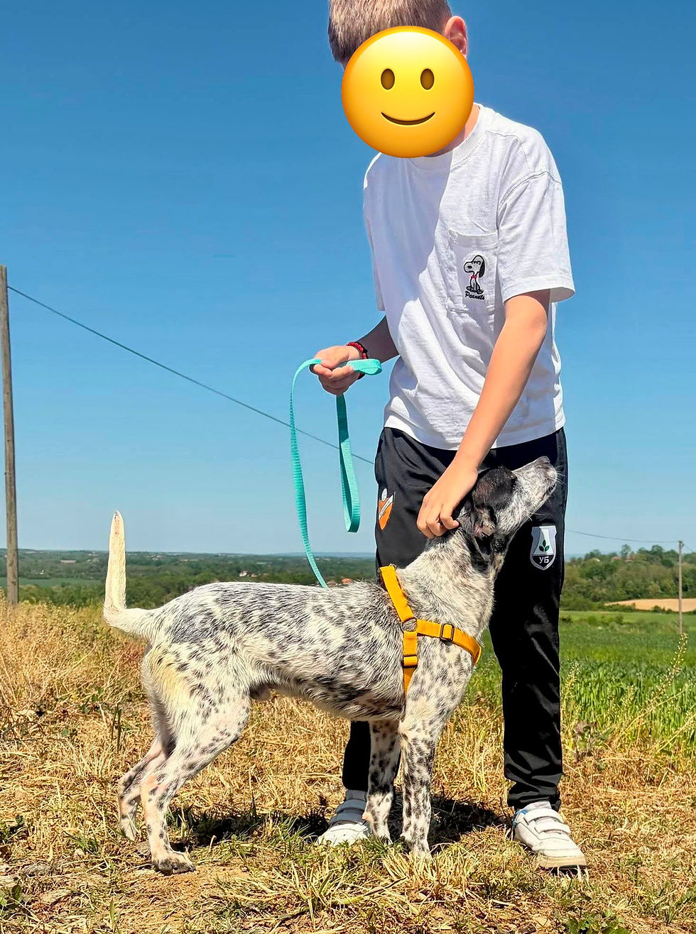 Thumbnail: Peki