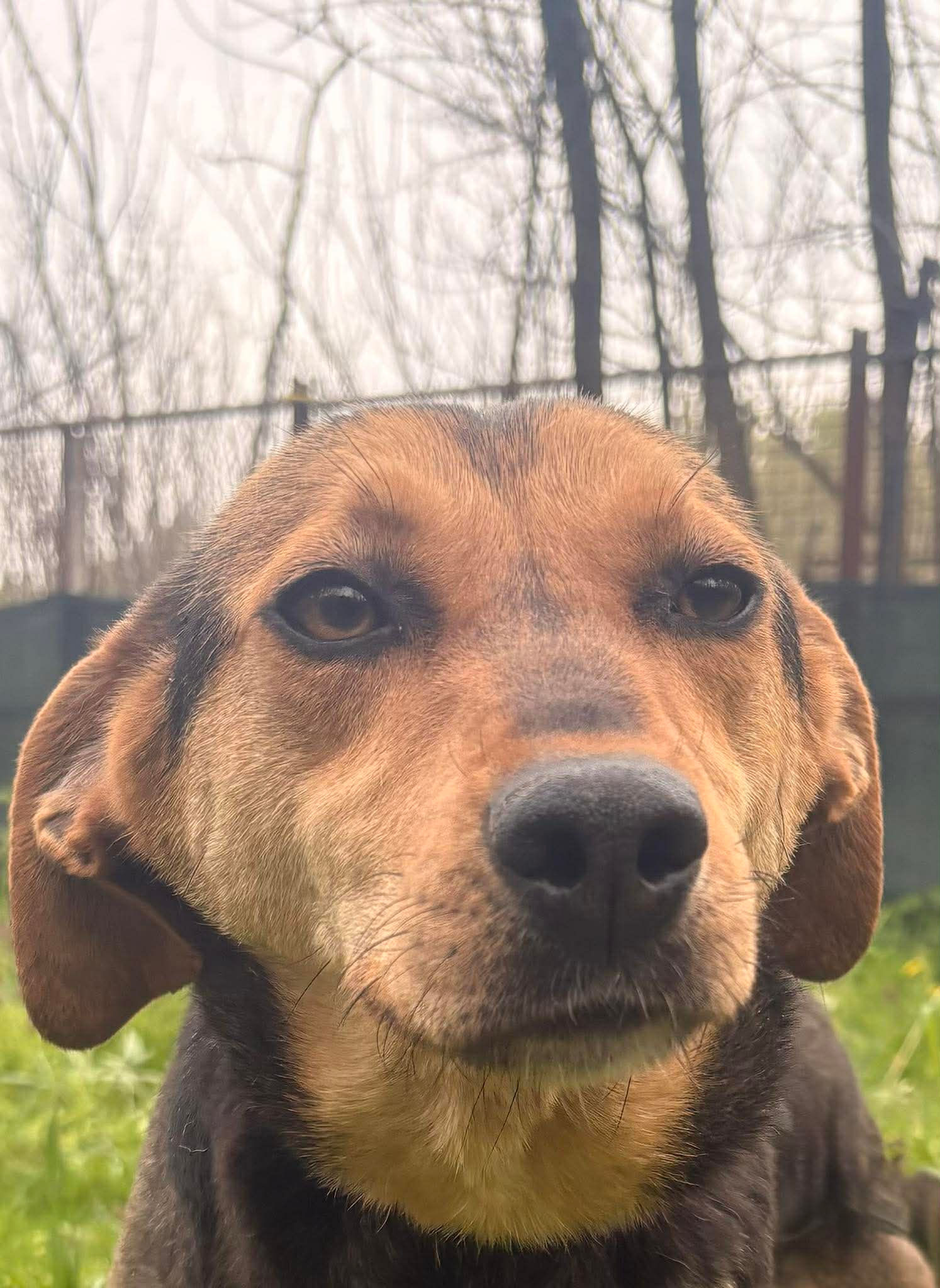 Mason