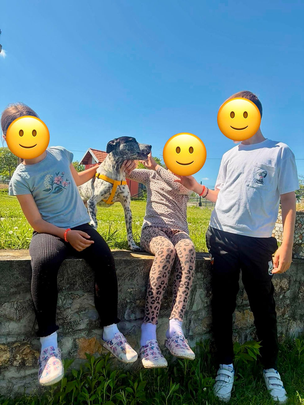 Thumbnail: Peki