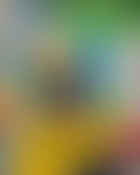 01 ano de atendimentos no Instituto Syrius