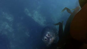 2025 Year End Letter