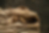 Laba Calcinaio_-29.jpeg