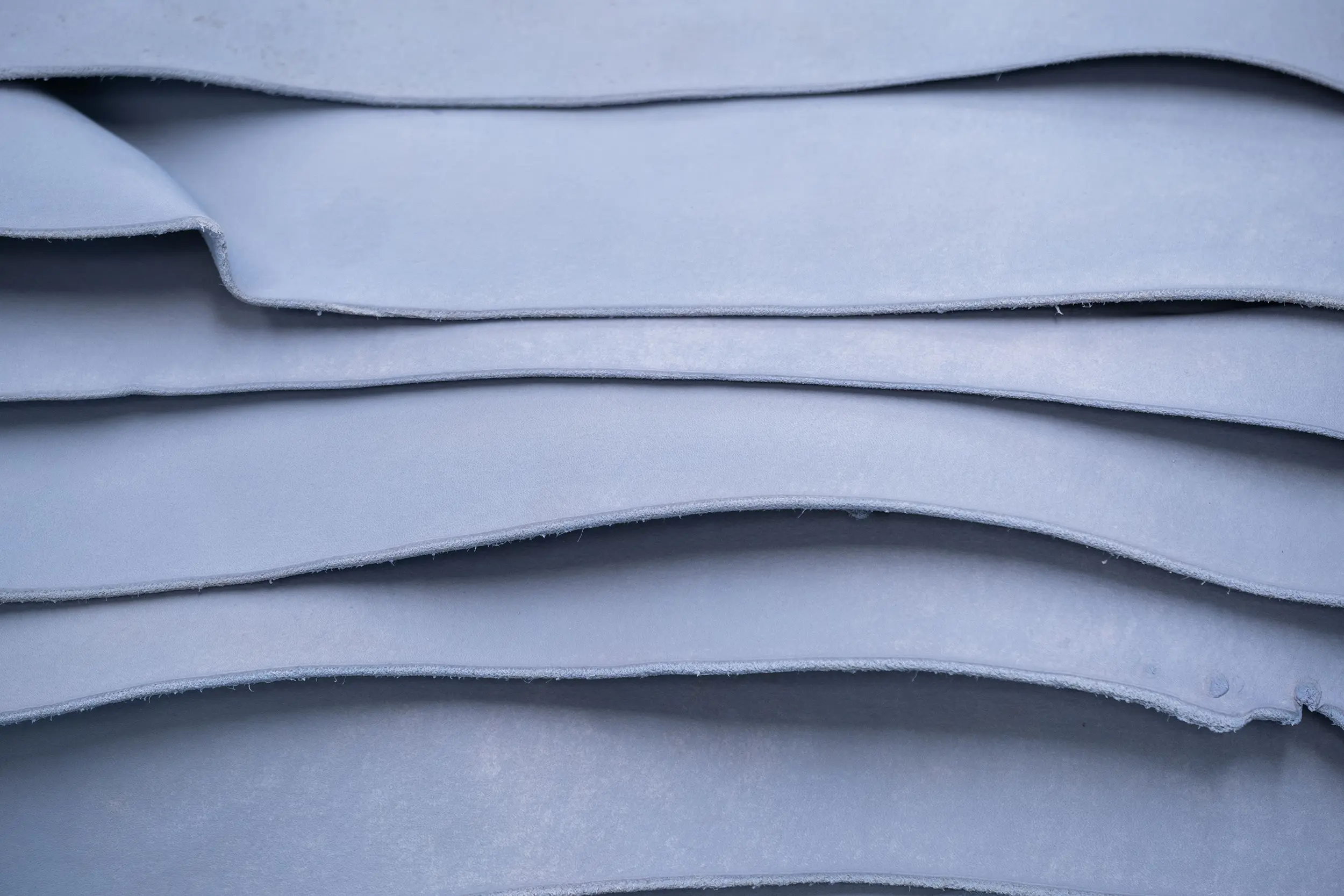 leather in wet blue of bulls