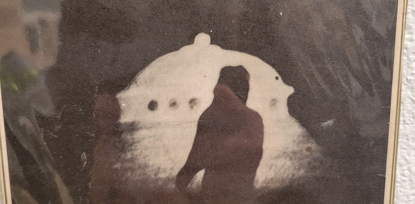 UFO's Geneseo City Museum