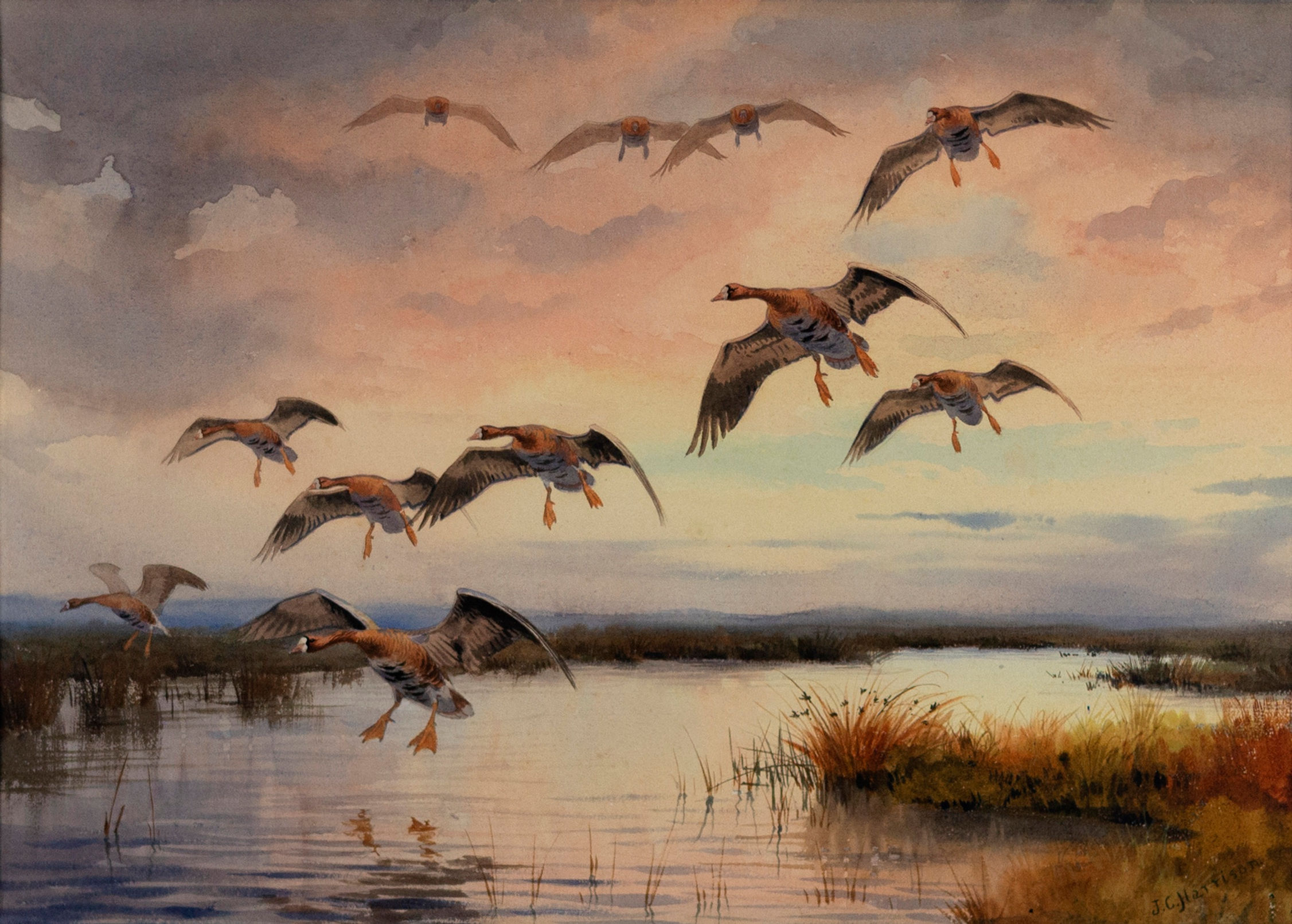 John Cyril Harrison - White-fronted Geese at Dusk