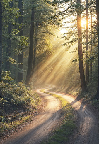 empty-road-landscape-day 2.jpg