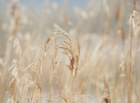 heino-eisner-C91zakAZpOA-unsplash_edited_edited.png