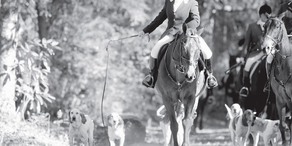 Aiken Hounds Hunter Pace