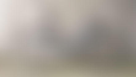 OLYMPIC PATINA CRUISER