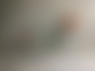 SVITHUN deLUXE 7-SPEED | 1977