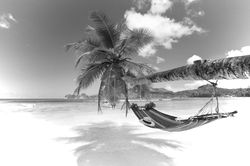 Summer Break!