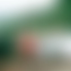 MEN'S WELLNESS: Prostate Health: Why It Matters, Signs to Watch, and Natural Solutions