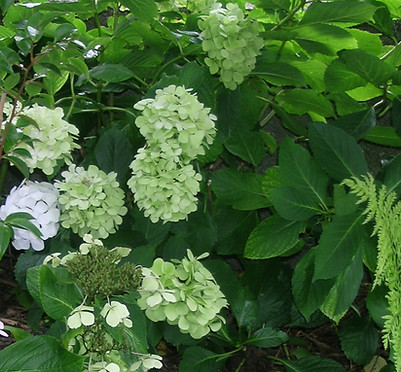 DSCN1963.JPG