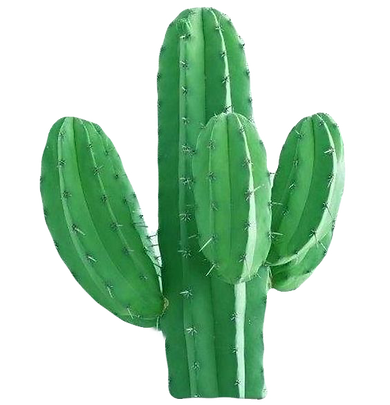 5a789e8894b5dd9b4c9a073415fef529_edited.