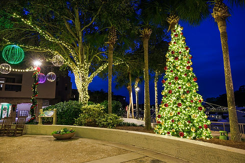Christmas lights at Shelter Cove Harbour