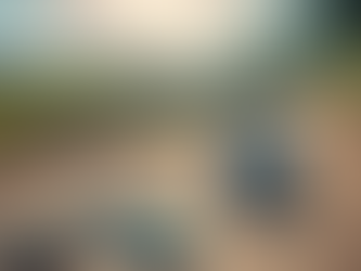 Optimize Your Performance with Individual Run Coaching