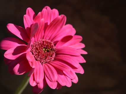 Ten ways to practice self-care with yoga