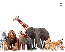 animals.JPG