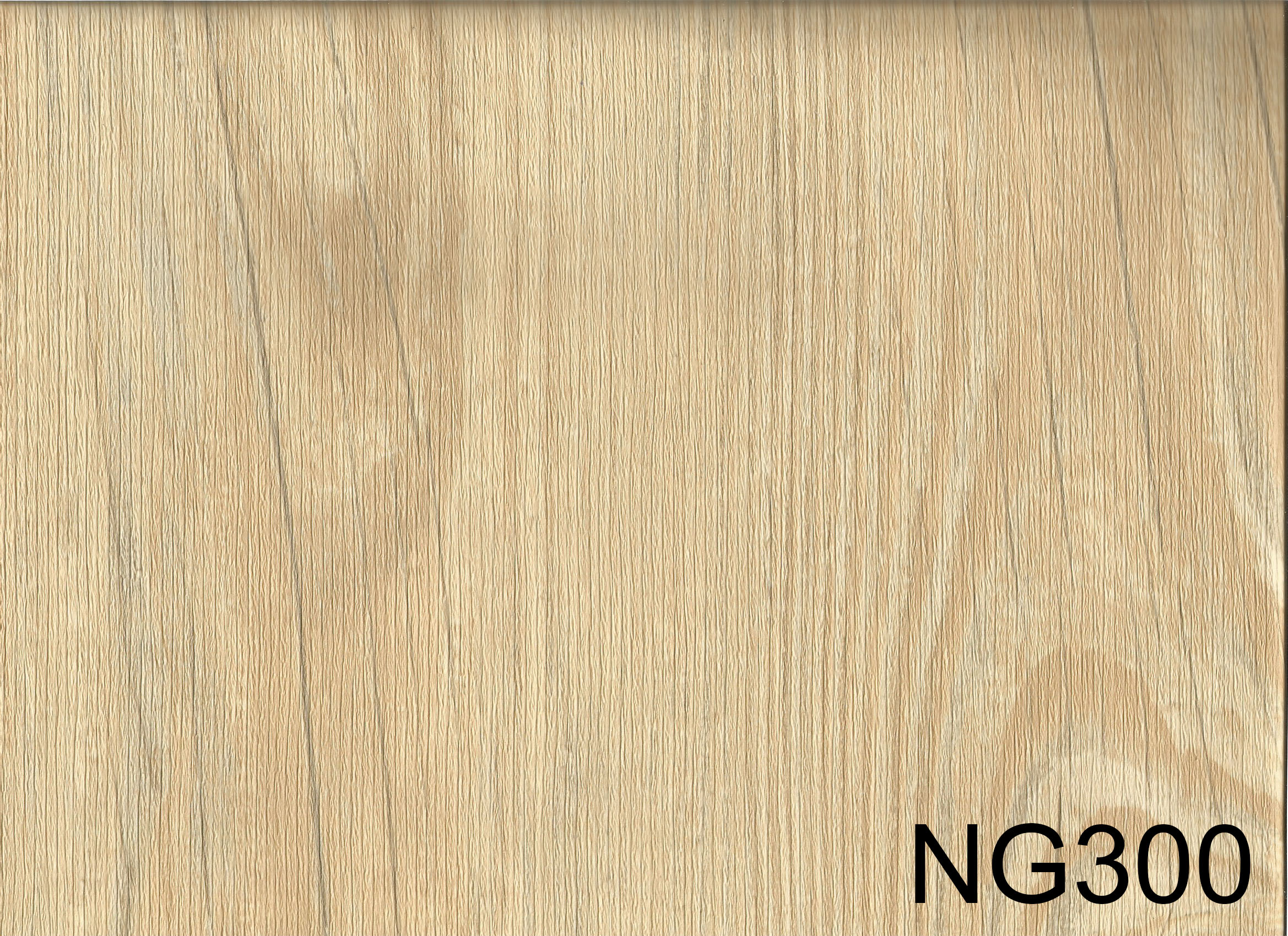 NG300