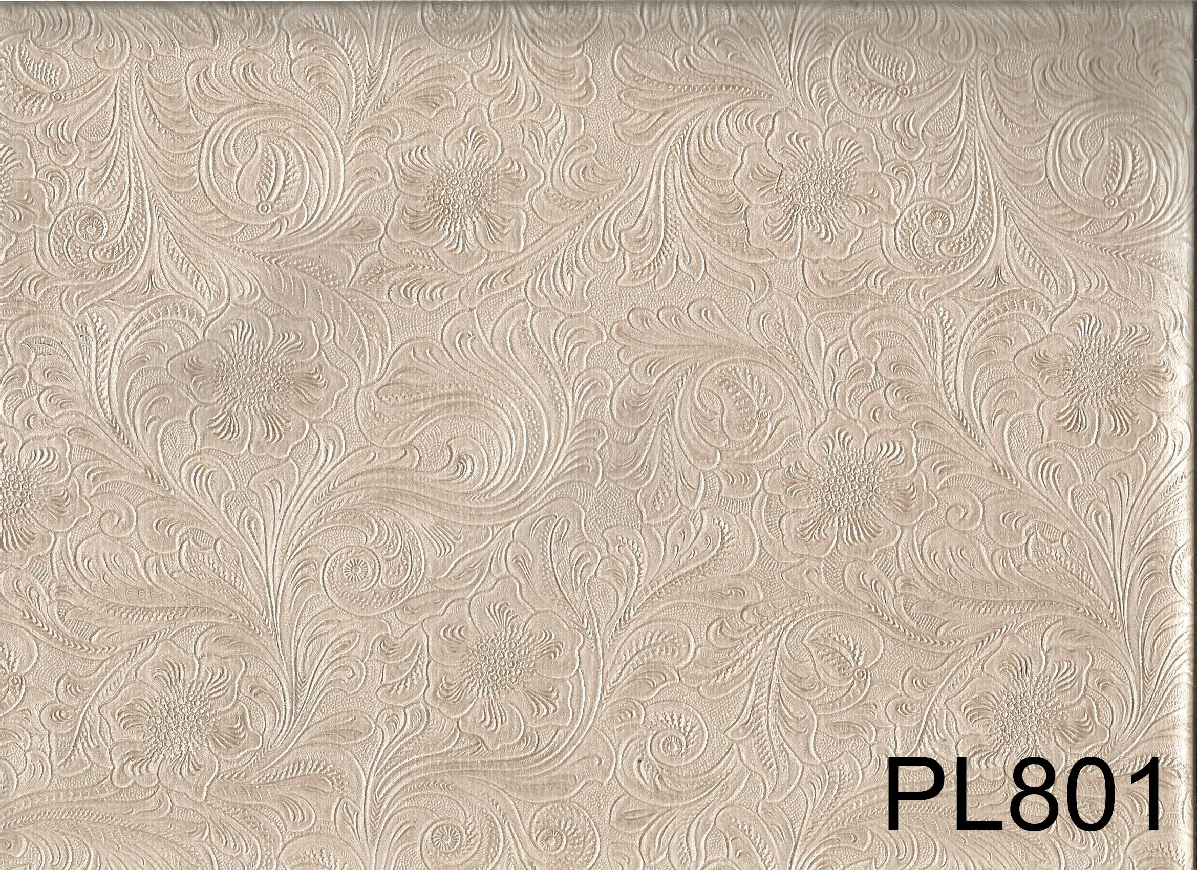 PL801