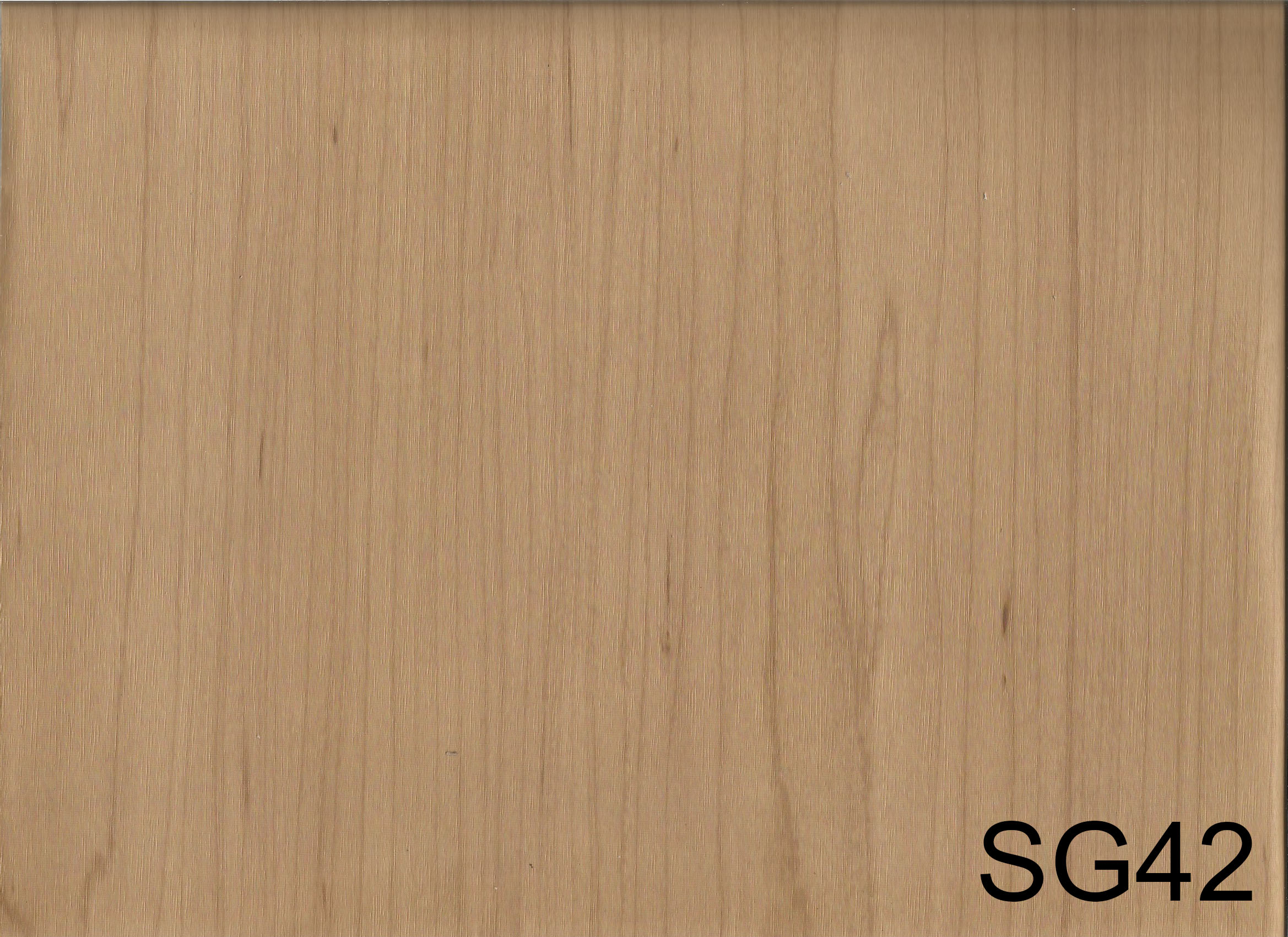 SG42