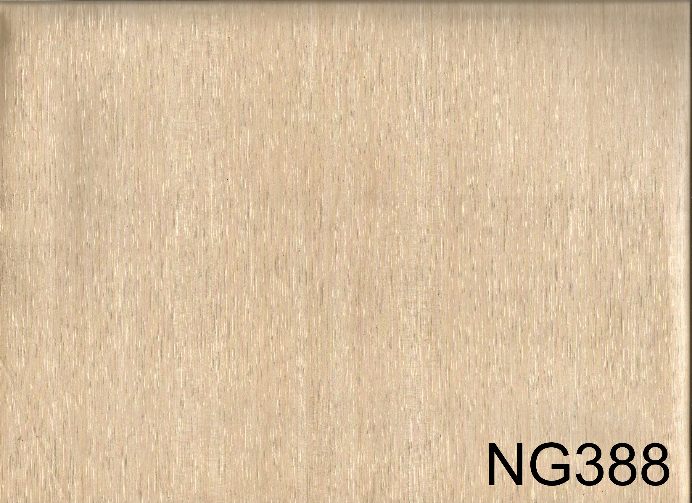 NG388