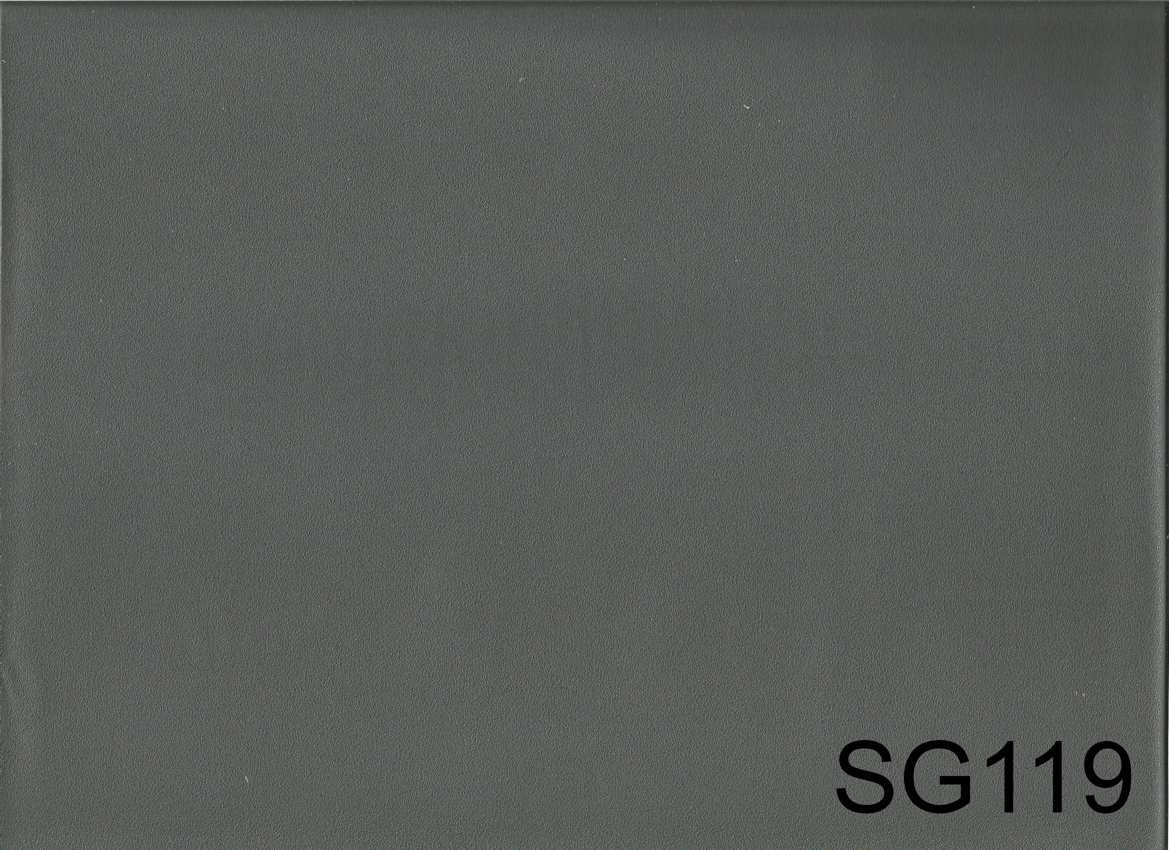 SG119