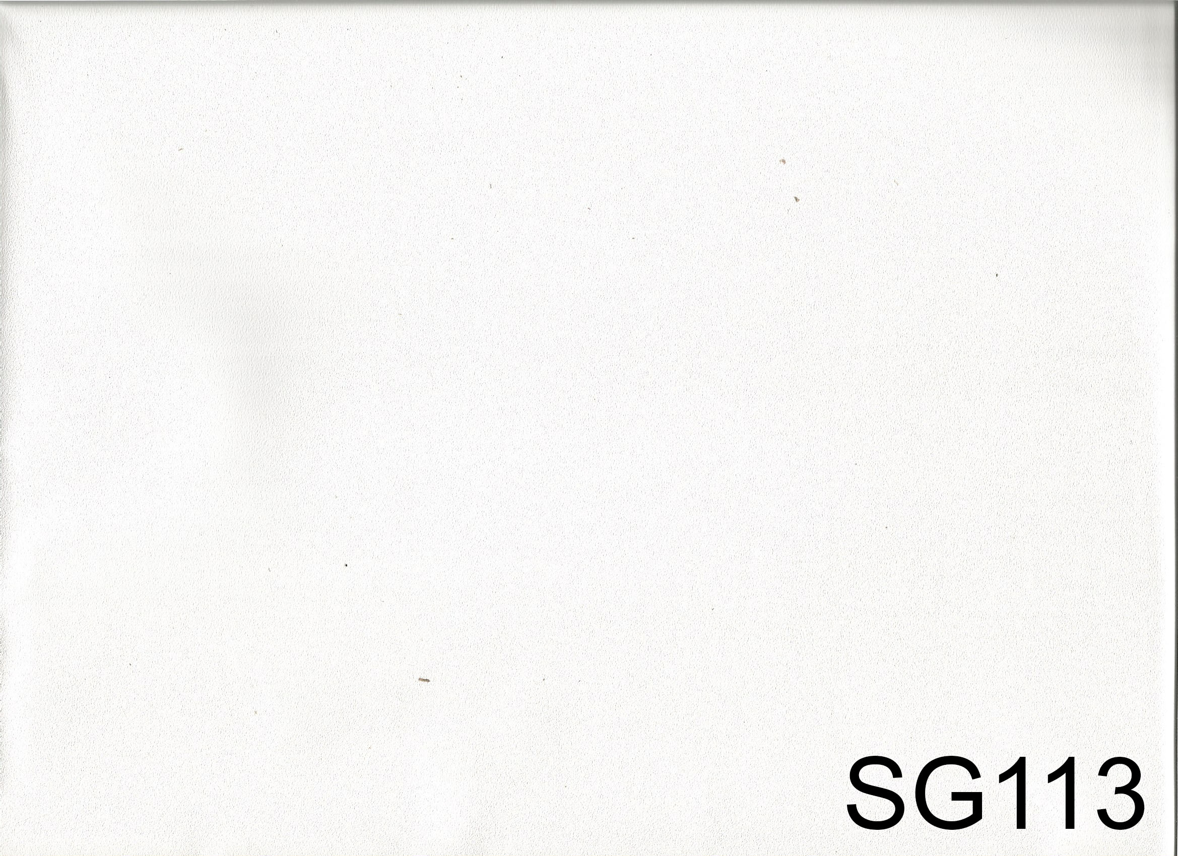 SG113