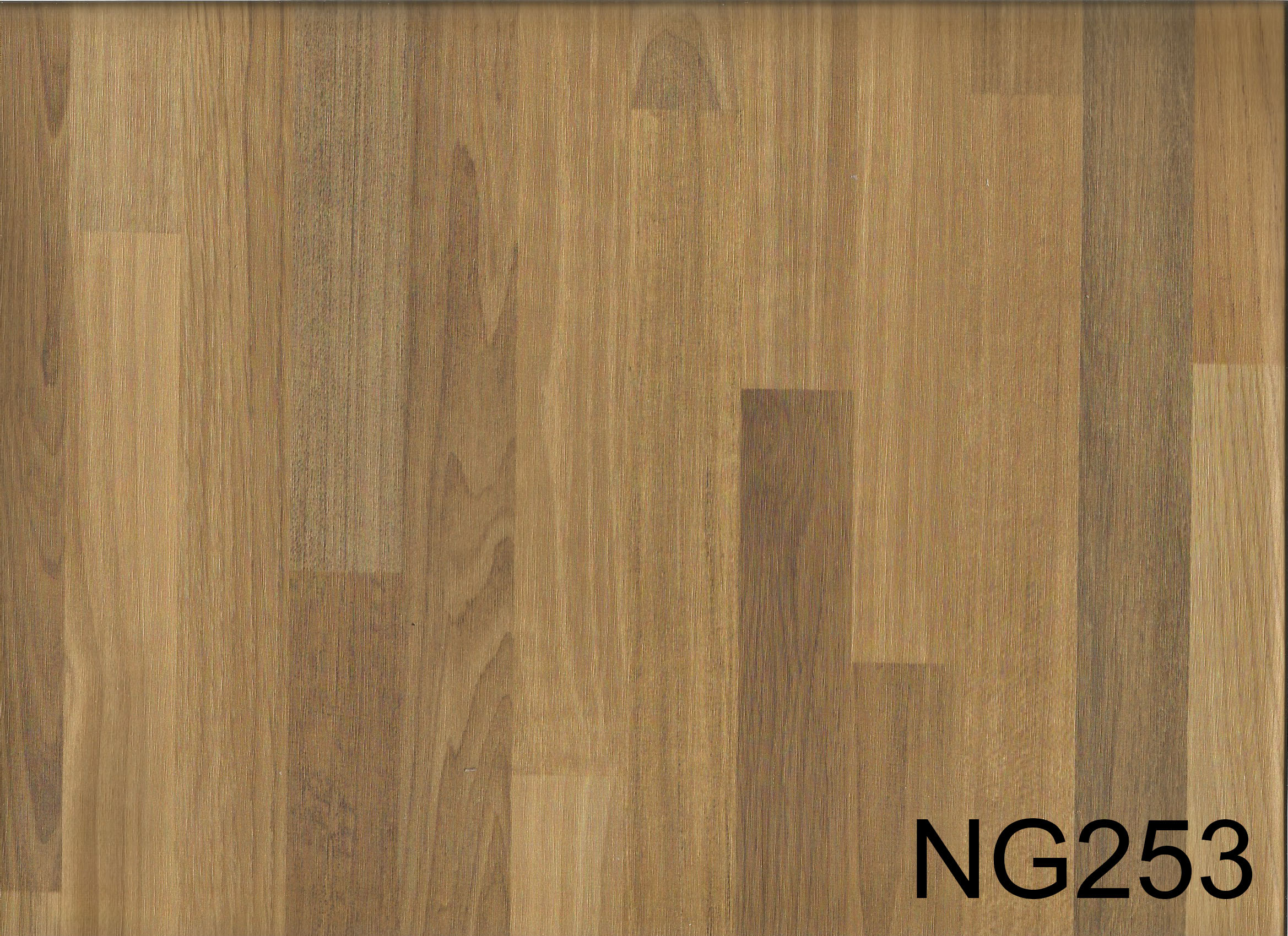 NG253