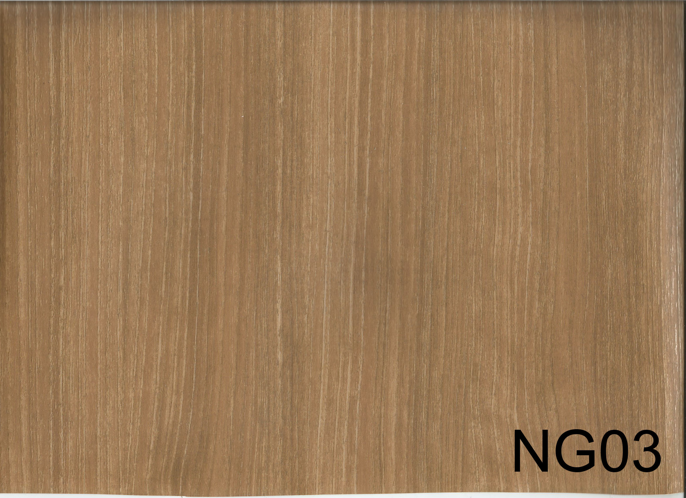 NG03