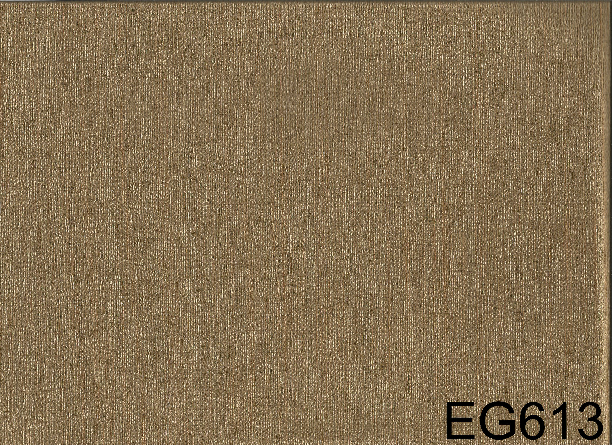 EG613