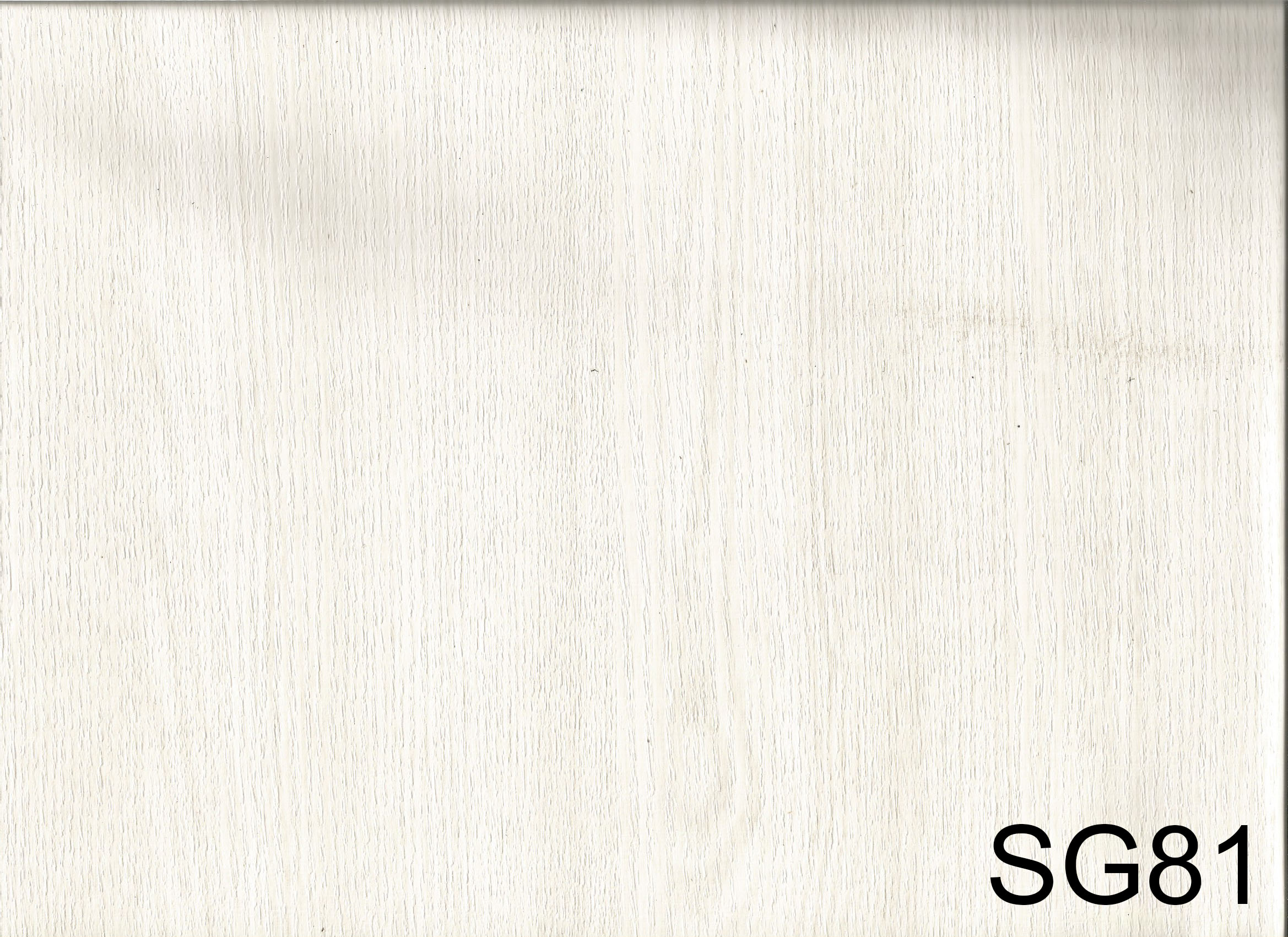 SG81