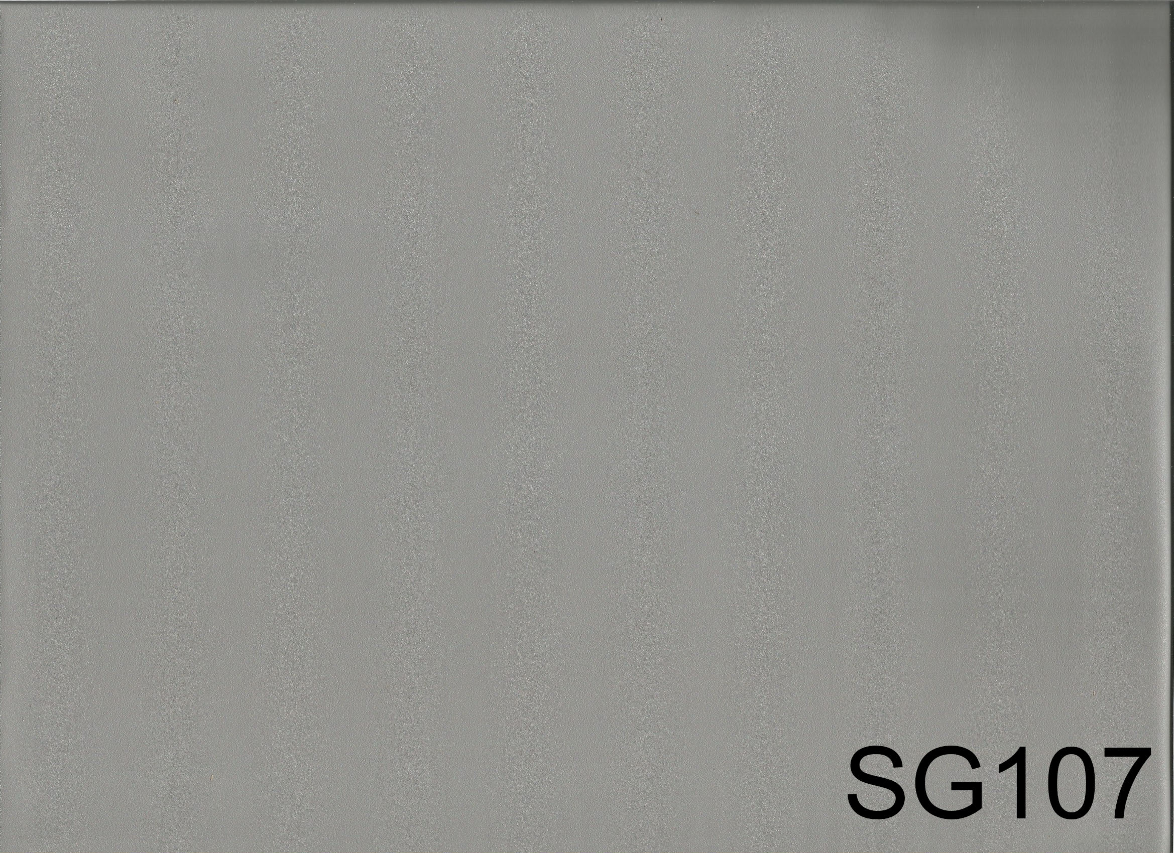 SG107