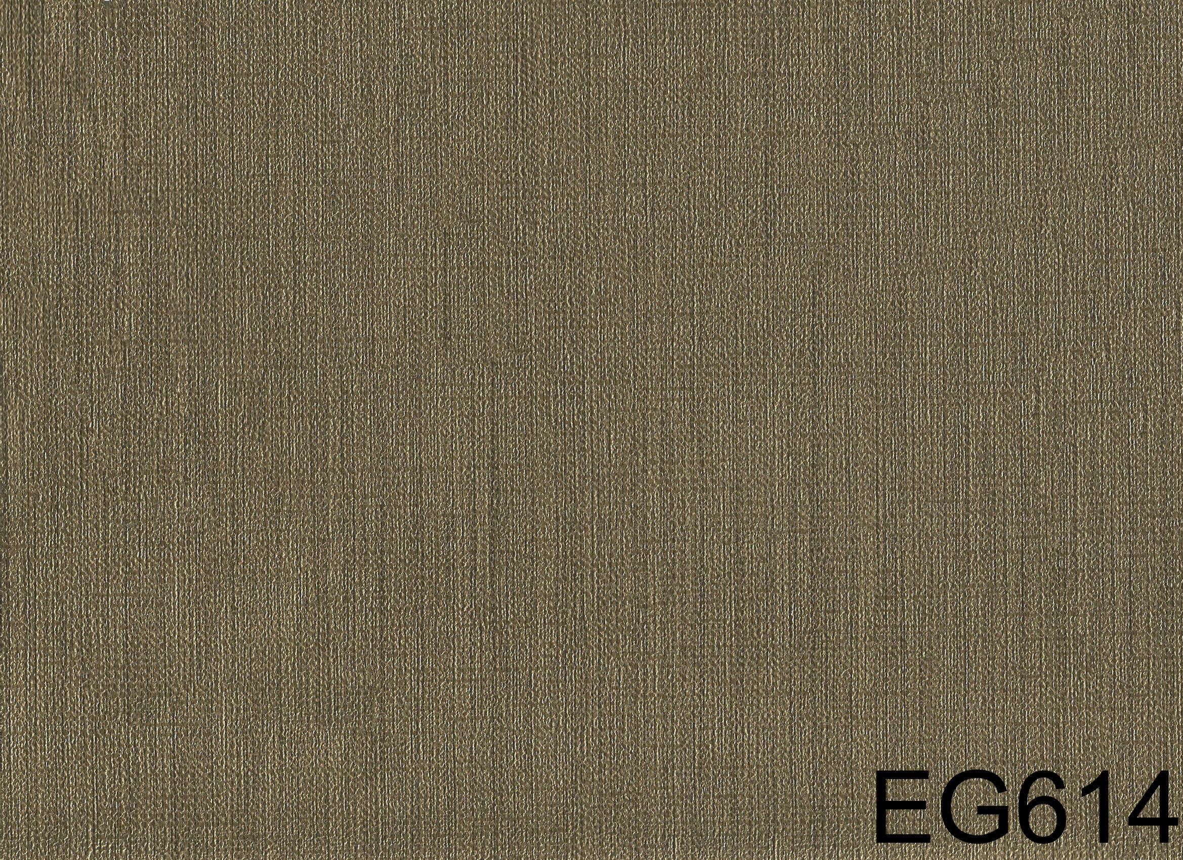 EG614